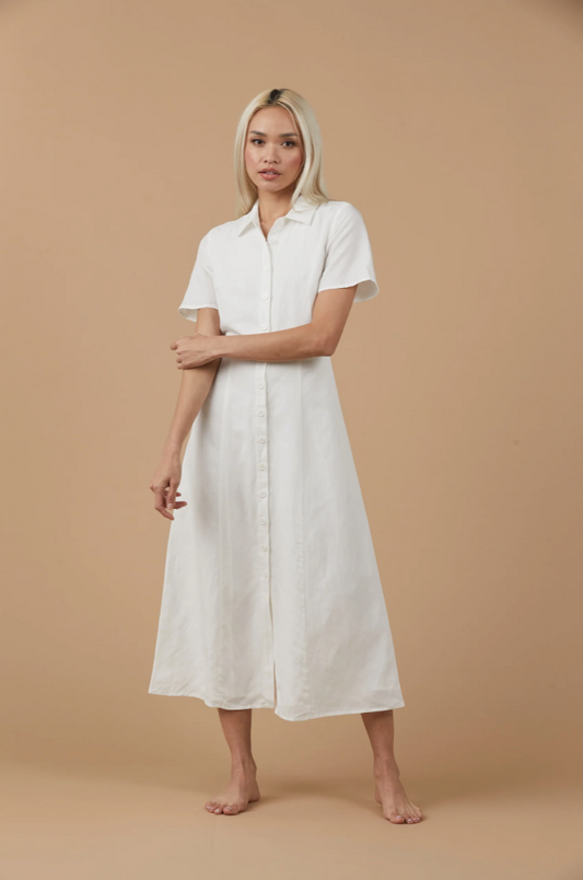 COLLARED BUTTON DOWN DRESS